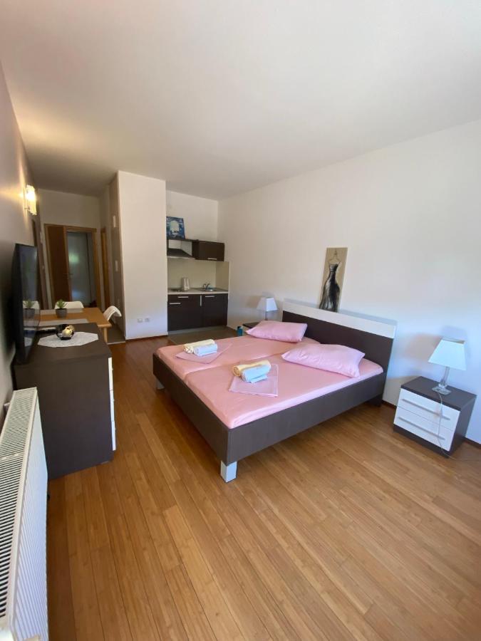 Apartments San Monte Ποντστράνα Εξωτερικό φωτογραφία